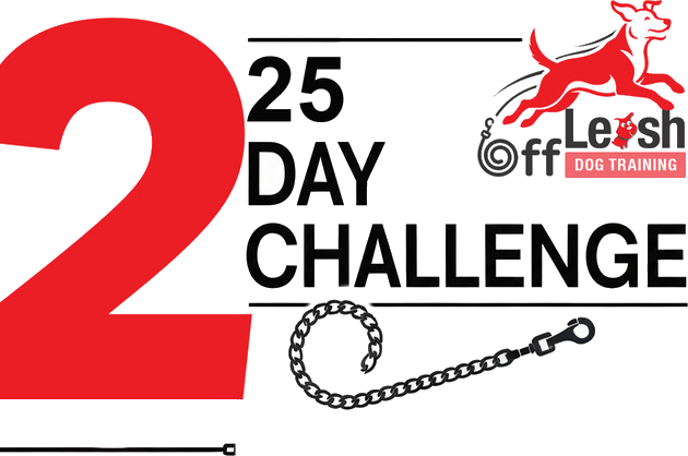 Off Leash · 25 Day Challenge